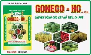 GONECO - HC + Ca