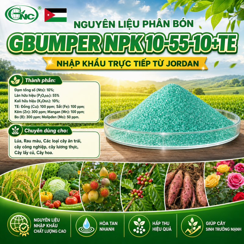 GBUMPER NPK 10 - 55 - 10