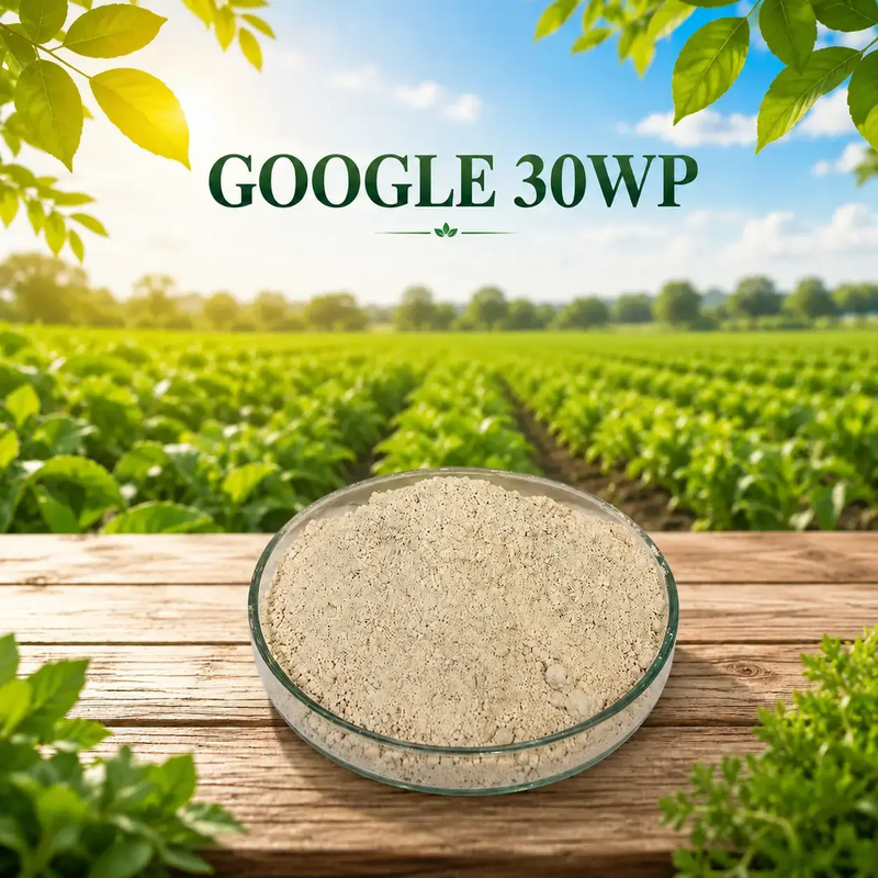THUỐC TRỪ SÂU GOOGLE 30WP