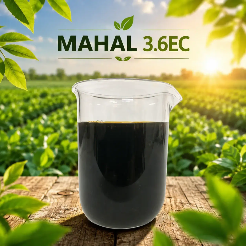 THUỐC TRỪ SÂU MAHAL 3.6EC